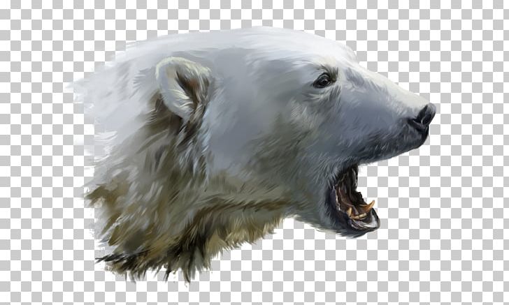Polar Bear Cat Growling PNG, Clipart, Art, Bear, Carnivoran, Cat, Cuddly Bears Free PNG Download