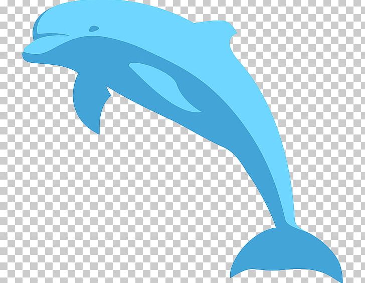 Spinner Dolphin PNG, Clipart, Common Bottlenose Dolphin, Dolphin, Fin, Fish, Free Content Free PNG Download