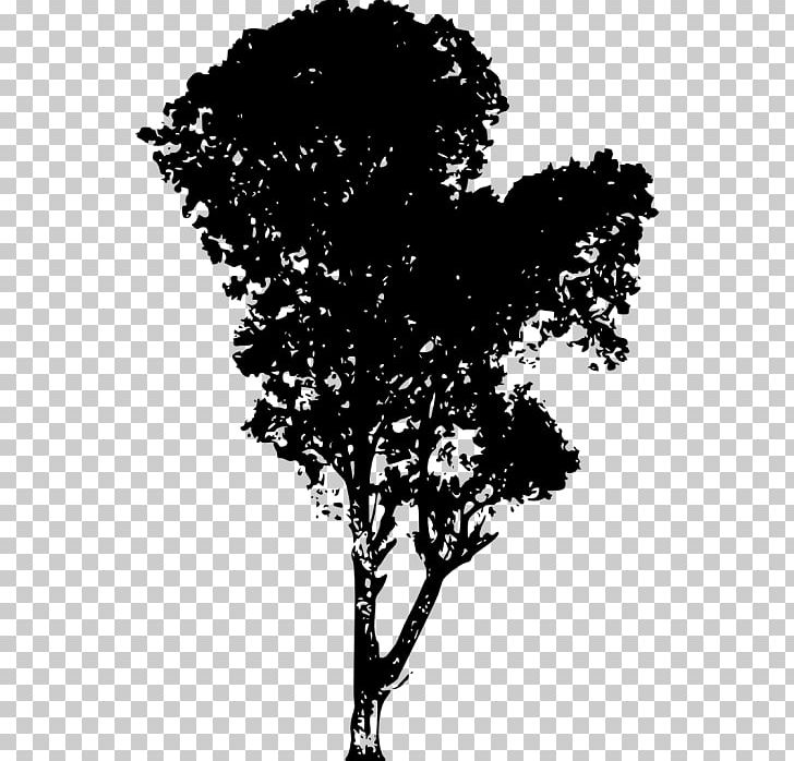 Twig Silhouette PNG, Clipart, Animals, Black And White, Branch, Computer Icons, Desktop Wallpaper Free PNG Download