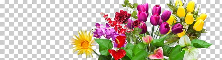 Floral Design Cut Flowers Artificial Flower Floristry PNG, Clipart, 12 Kinds Of Flowers, Artificial Flower, Cut Flowers, Floral Design, Floristry Free PNG Download