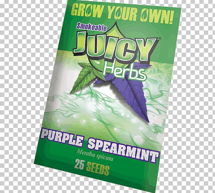 Green Herb Purple Mentha Spicata PNG, Clipart, Art, Green, Herb, Herbal, Mentha Spicata Free PNG Download