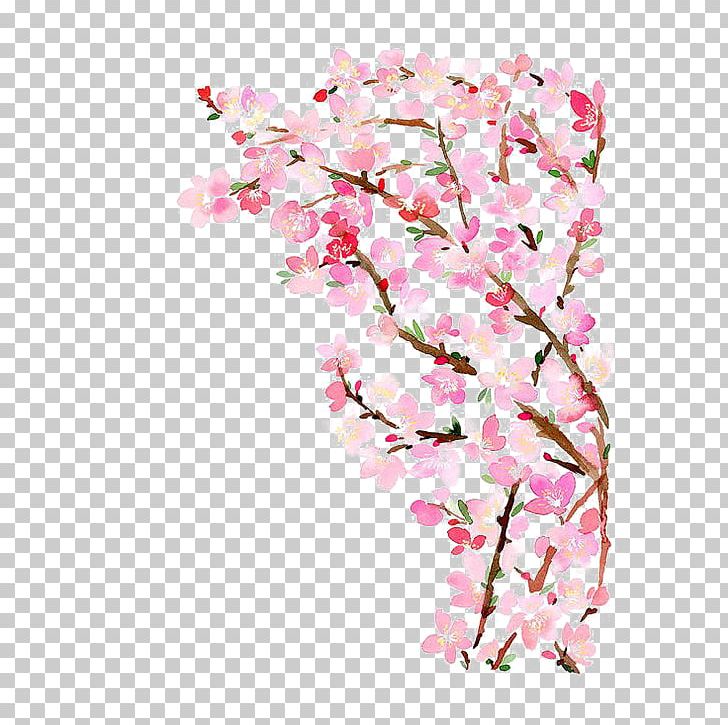 Paper Cherry Blossom Watercolor Painting PNG, Clipart, Autumn Tree, Blossom, Branch, Cherry, Family Tree Free PNG Download