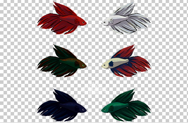 Feather PNG, Clipart, Beak, Bird, Coraciiformes, Earrings, Feather Free PNG Download