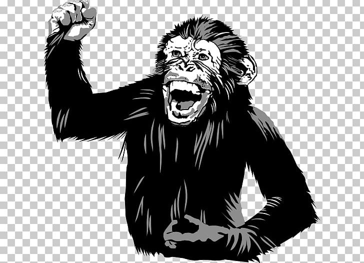Common Chimpanzee Western Gorilla Homo Sapiens Three Wise Monkeys Food PNG, Clipart, Aggression, Big Cats, Black And White, Chicken As Food, Chimpanzee Free PNG Download