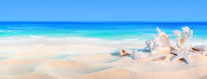Sunny Beach Dolarog Beach Shore Holiday PNG, Clipart, Beach, Calm, Caribbean, Christmas, Cloud Free PNG Download