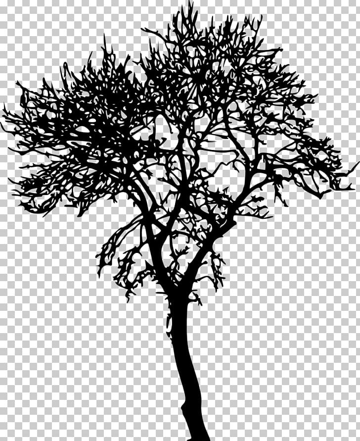 Twig Tree Silhouette PNG, Clipart, Bare, Black And White, Branch, Flower, Leaf Free PNG Download