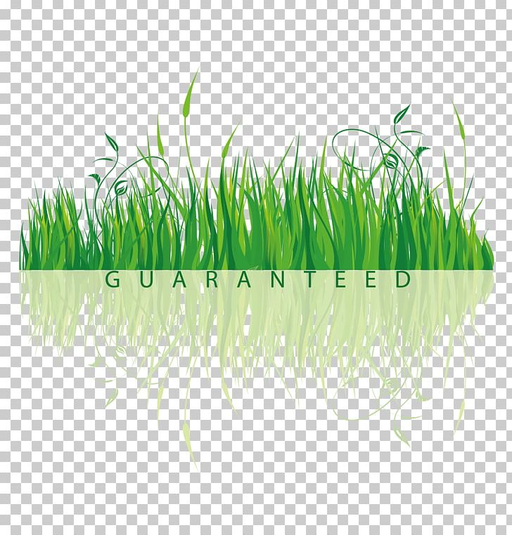 Watercolor Painting Cartoon Grass Plant Stem PNG, Clipart, Adobe Illustrator, Artificial Grass, Cartoon, Cartoon Grass, Commodity Free PNG Download
