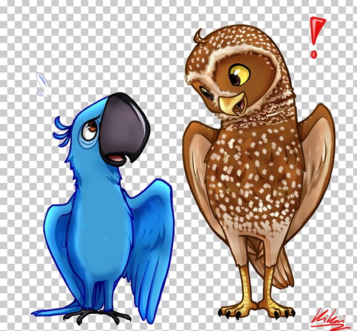 Owl Guardians Of Ga'Hoole Bird Nyra YouTube PNG, Clipart,  Free PNG Download