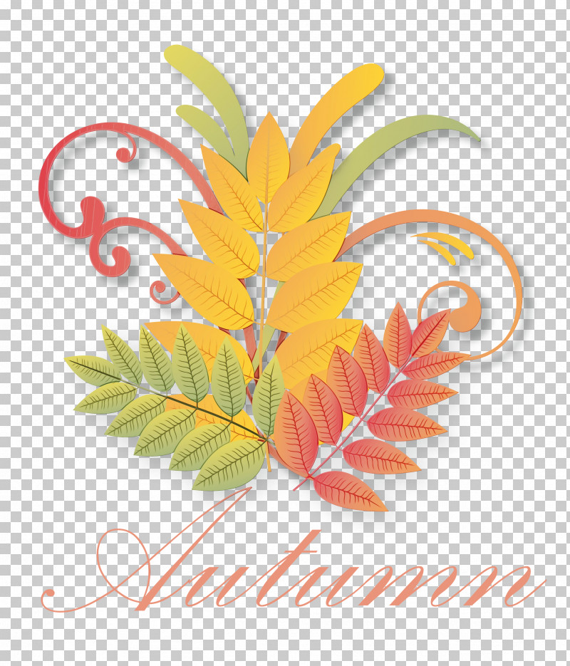 Maple Leaf PNG, Clipart, Acer Truncatum, Autumn, Branch, Deciduous, Hello Autumn Free PNG Download