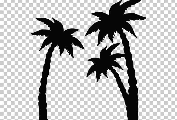 Coconut Arecaceae Silhouette PNG, Clipart, Arecaceae, Arecales, Black And White, Branch, Coconut Free PNG Download