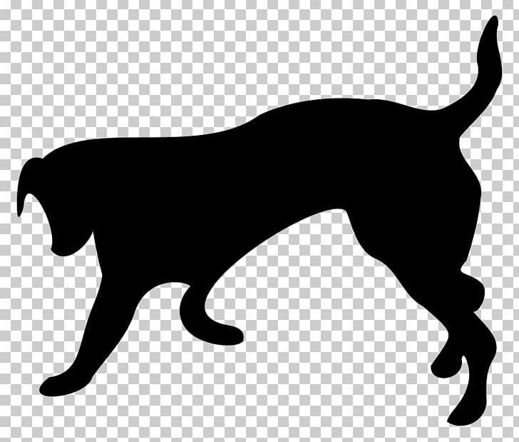 Dog Breed Puppy Cat PNG, Clipart, Animals, Black, Black And White, Carnivoran, Cat Free PNG Download