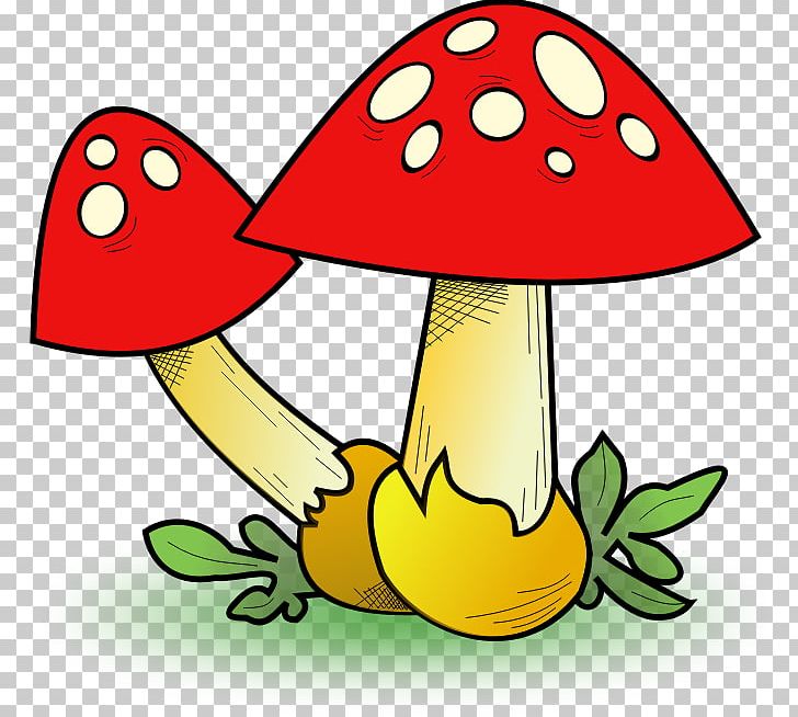 Fungus Edible Mushroom PNG, Clipart, Agaricaceae, Agaricus, Artwork, Computer Icons, Download Free PNG Download