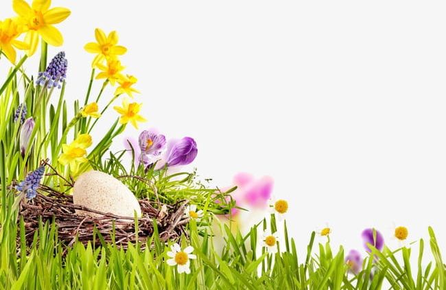 Grass Eggs PNG, Clipart, Beautiful, Beautiful Flowers, Creative, Creative Holiday, Easter Free PNG Download
