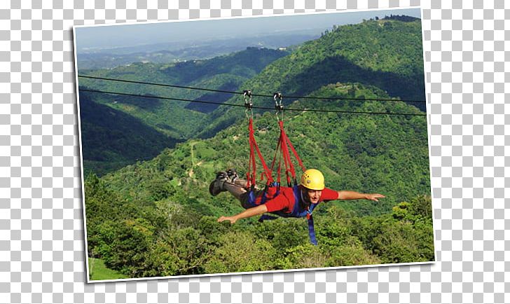 Toro Verde Nature Adventure Park Orocovis San Juan PNG, Clipart, Adventure, Adventure Park, Escarpment, Extreme Sport, Forest Free PNG Download