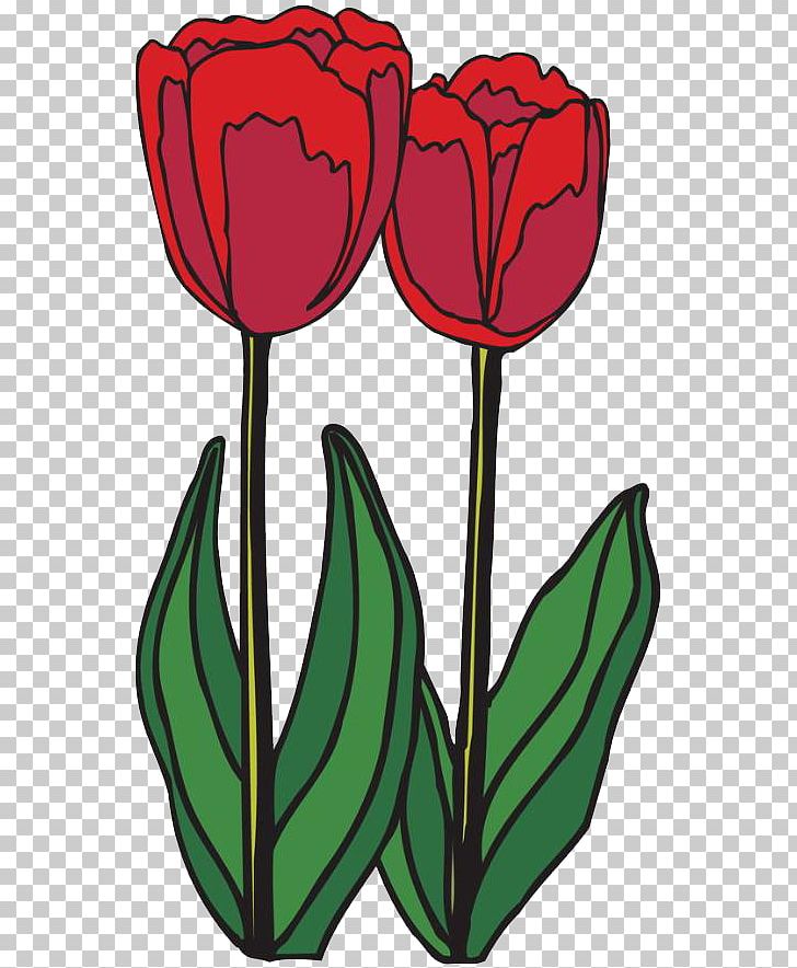 Tulip Ausmalbild Bulb Blume Plant Stem Png Clipart Animation Ausmalbild Blume Bulb Business Free Png Download