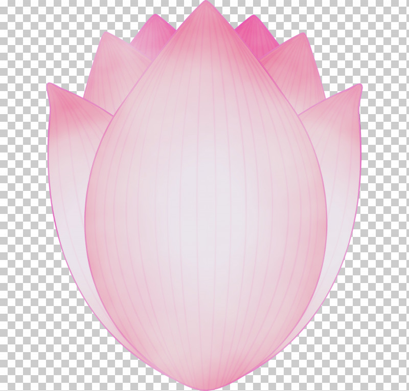 Pink Petal Tulip Plant Flower PNG, Clipart, Flower, Lily Family, Lotus, Paint, Petal Free PNG Download