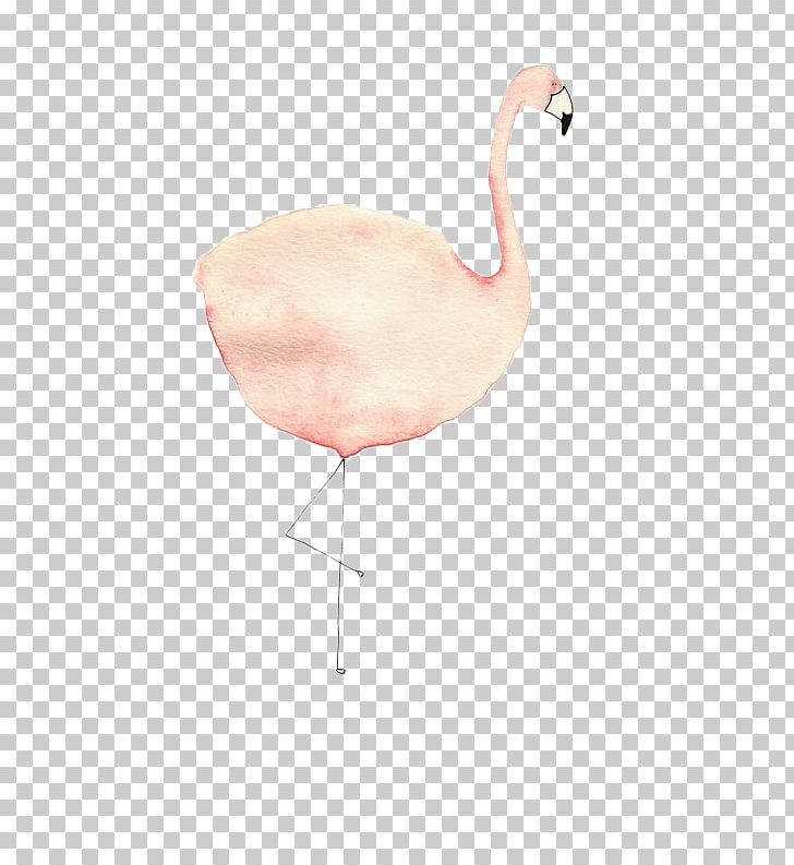 Flamingos Bird PNG, Clipart, Animals, Animation, Beak, Bird, Download Free PNG Download