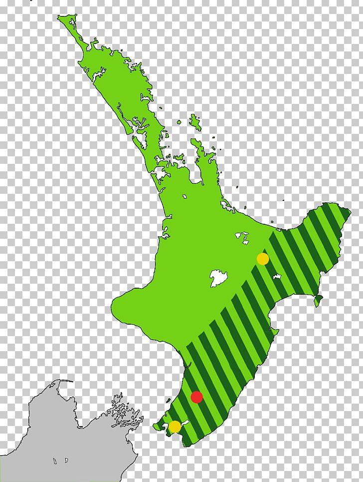 New Zealand Map PNG, Clipart, Area, Equirectangular Projection, Google Maps, Grass, Green Free PNG Download