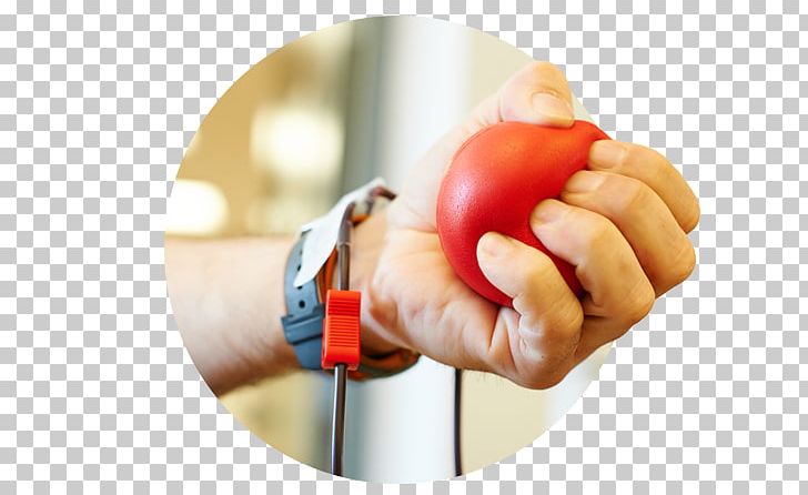 Thumb PNG, Clipart, Blood Donation, Finger, Hand, Thumb Free PNG Download