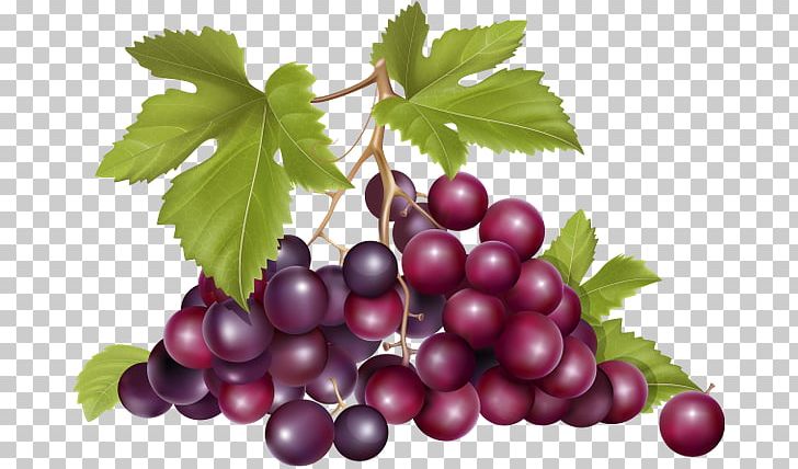 Zante Currant Common Grape Vine Wine Fruit PNG, Clipart, Berry, Currant, Desktop Wallpaper, Food, Fruit Free PNG Download