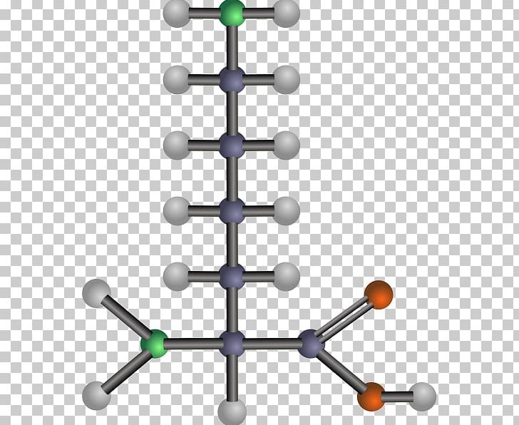 Amino Acid Leucine Protein PNG, Clipart, Acid, Acid Cliparts, Alanine, Amine, Amino Acid Free PNG Download