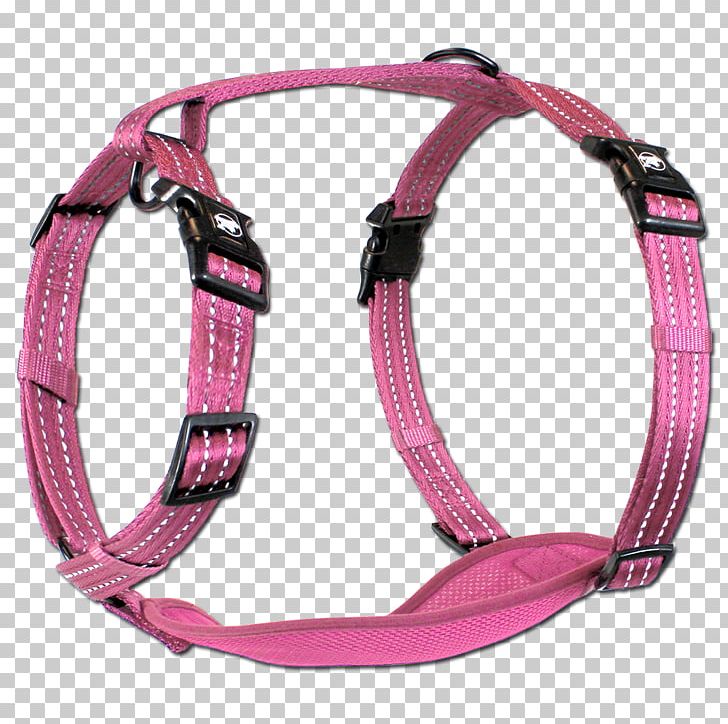 Dog Harness Leash Horse Harnesses Horse Tack PNG, Clipart, Alcott, Animals, Blue, Collar, Dog Free PNG Download
