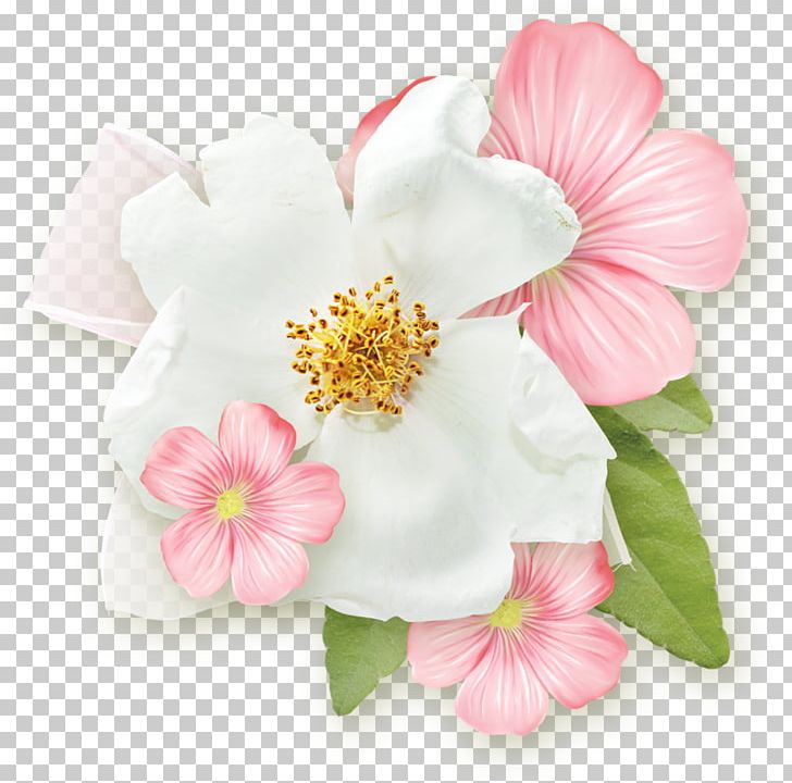 Flower Rose Blossom PNG, Clipart, 5 A, Blossom, Cherry Blossom, Cluster, Color Free PNG Download