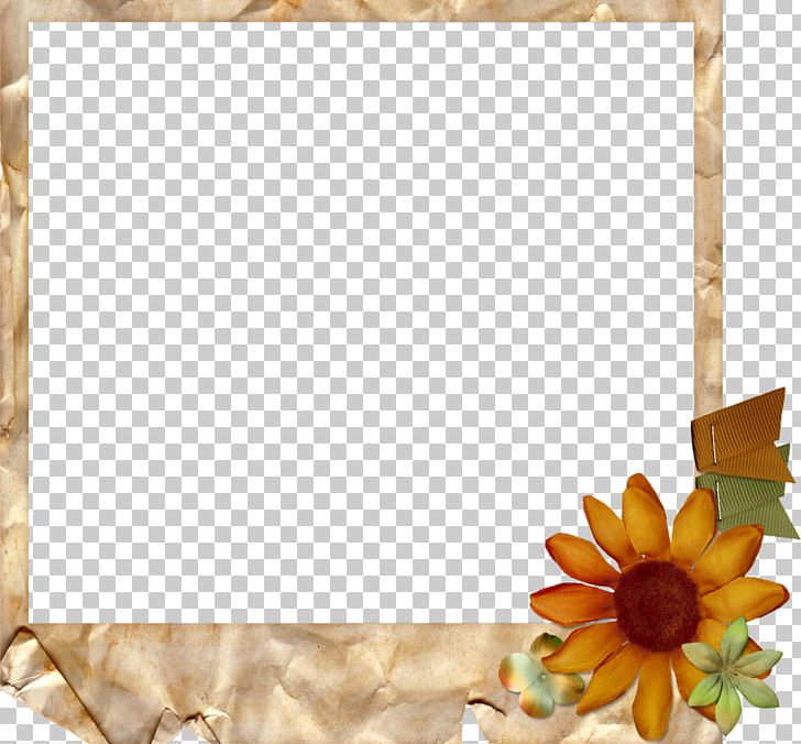 Frames Computer Software Blogger PNG, Clipart, Blogger, Com, Computer Software, Floral Design, Flower Free PNG Download