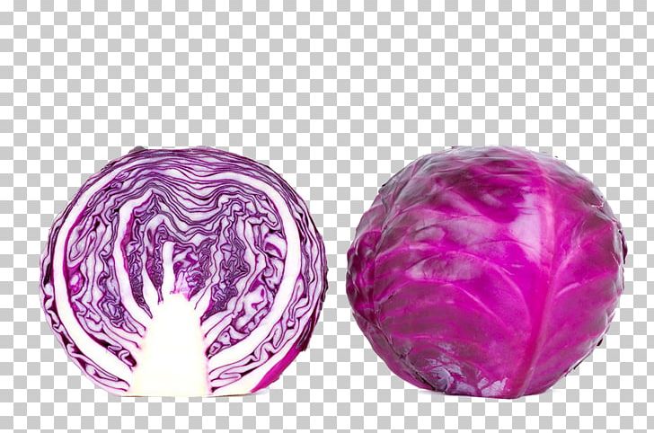 Red Cabbage Vegetable Diabetes Mellitus Eating PNG, Clipart, Cabbage, Diabetes Mellitus, Eating, Fresh, Health Free PNG Download