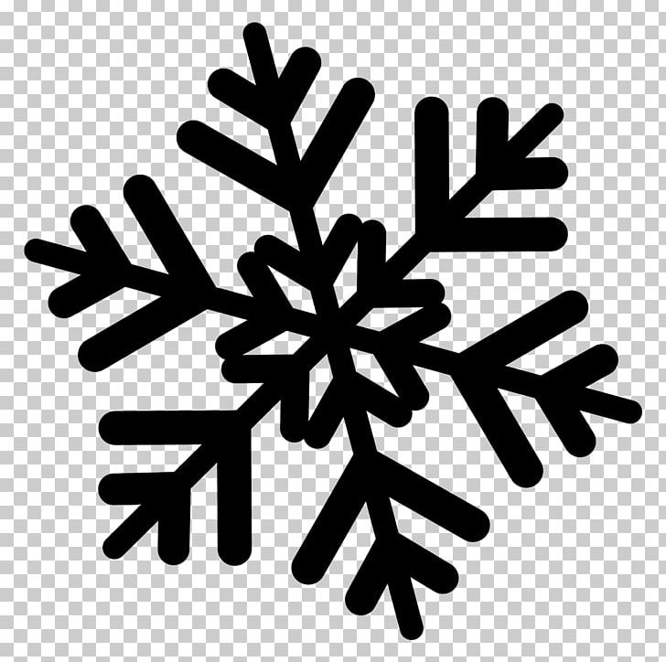 Snowflake PNG, Clipart, Black And White, Computer Icons, Flocos De Neve, Ice, Line Free PNG Download