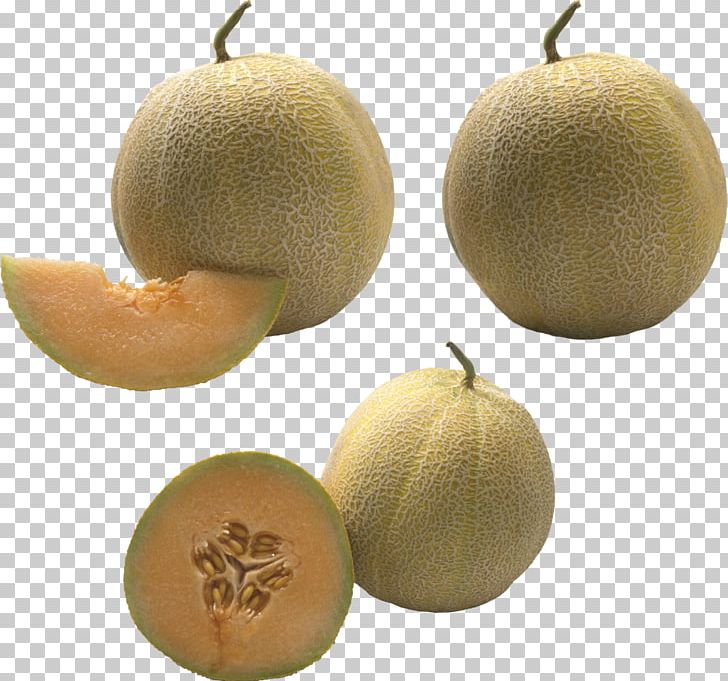 Cantaloupe Food Fruit Honeydew PNG, Clipart, Berry, Cantaloupe, Citrus, Cucumber, Cucumber Gourd And Melon Family Free PNG Download