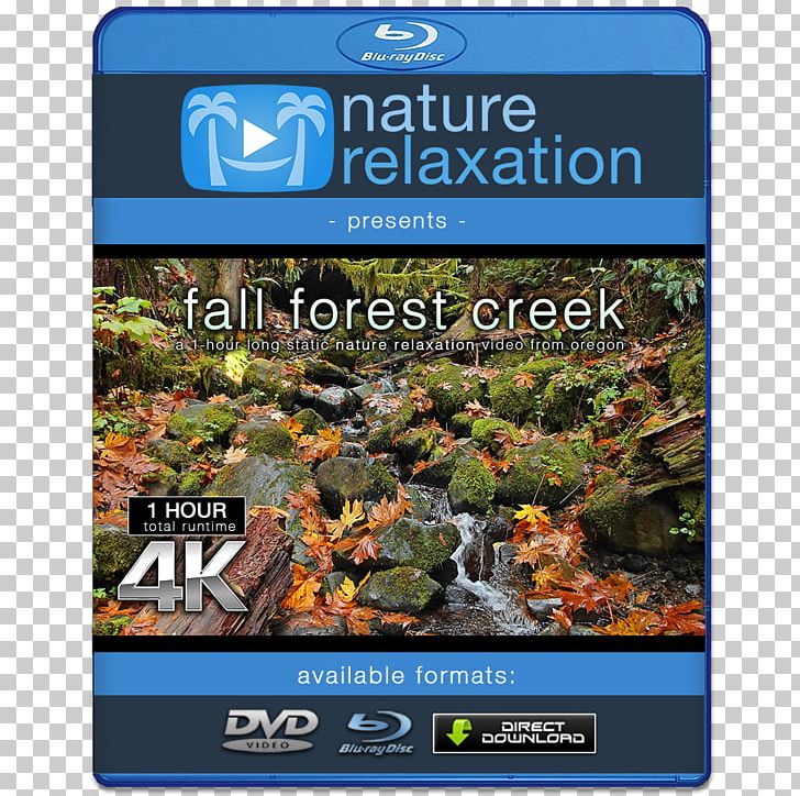 4K Resolution Ultra-high-definition Television 1080p Display Resolution PNG, Clipart, 4k Resolution, 1080p, Bluray Disc, Display Resolution, Film Free PNG Download