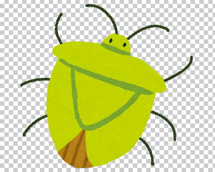 Pentatomoidea Light Illustration True Bugs PNG, Clipart, Arthropod, Bee, Beetle, Brown Marmorated Stink Bug, Fruit Free PNG Download