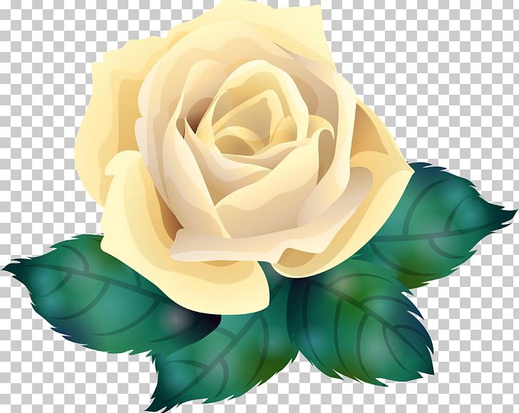 Garden Roses Centifolia Roses Flower PNG, Clipart, Centifolia Roses, Computer Wallpaper, Cute, Cut Flowers, Desktop Wallpaper Free PNG Download
