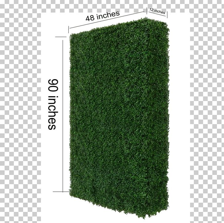 Hedge Rectangle PNG, Clipart, Grass, Green, Hedge, Others, Plant Free PNG Download