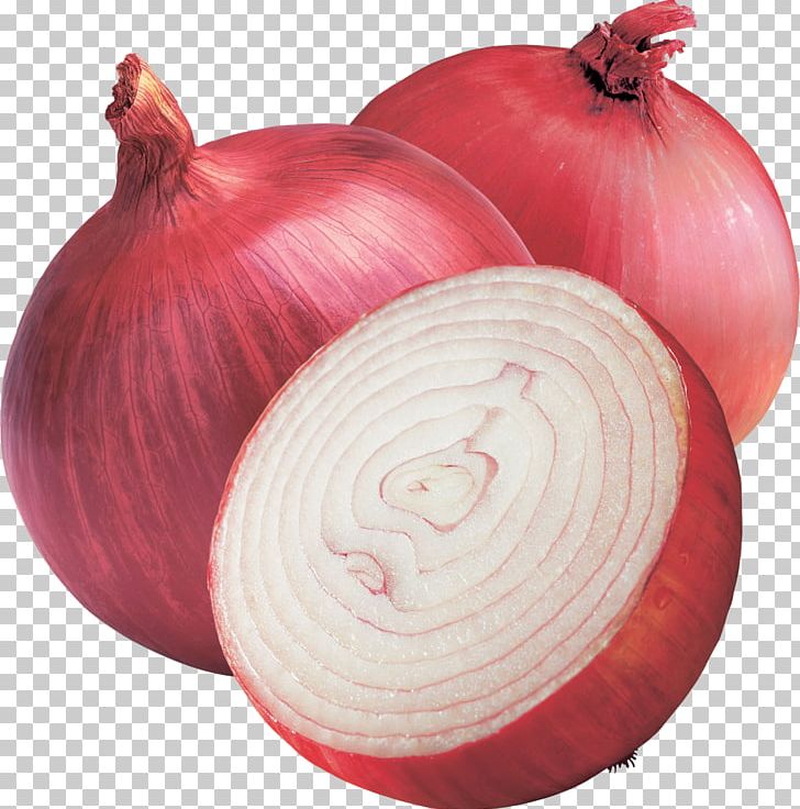 India Shallot Red Onion Vegetable Yellow Onion PNG, Clipart, Bangalore Rose Onion, Beet, Export, Food, India Free PNG Download