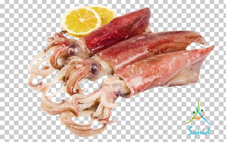 MaebanTV Squid As Food PNG, Clipart, Animal Fat, Animal Source Foods, Bangkok, Caridea, Dish Free PNG Download