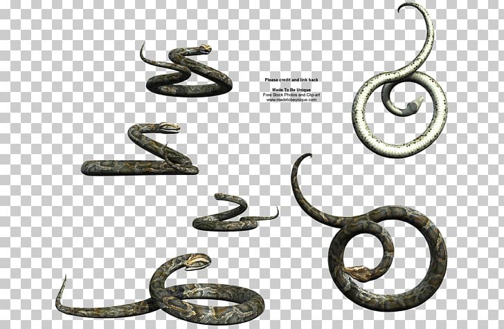 Snake Drawing PNG, Clipart, 3d Computer Graphics, 3d Rendering, Art, Body Jewelry, Curling Free PNG Download
