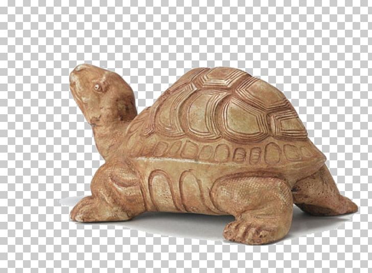 Box Turtle Tortoise PNG, Clipart, 3d Computer Graphics, Animal, Big Stone, Carving, Chinese Softshell Turtle Free PNG Download