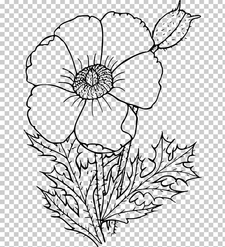 California Poppy Drawing Wildflower Common Poppy PNG, Clipart, Argemone Albiflora, Artwork, Black And White, Color, Coloring Book Free PNG Download