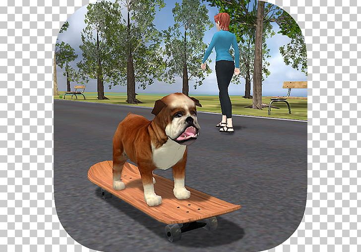 Dorset Olde Tyme Bulldogge Olde English Bulldogge Bulldog On Skateboard Bulldog Simulator PNG, Clipart, Android, Bulldog, Bulldog, Bulldog Simulator, Carnivoran Free PNG Download