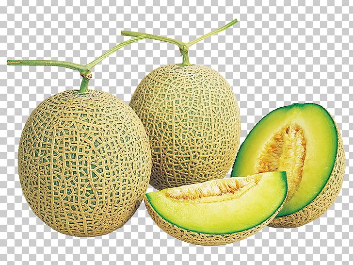 Honeydew Cantaloupe Galia Melon Brix PNG, Clipart, Autumn, Breed, Brix, Cantaloupe, Cucumber Gourd And Melon Family Free PNG Download