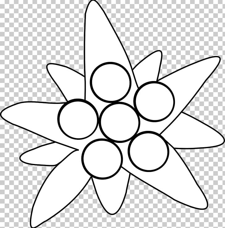 Symmetry Line Art Point Pattern PNG, Clipart, Area, Art, Black And White, Circle, Edelweiss Free PNG Download