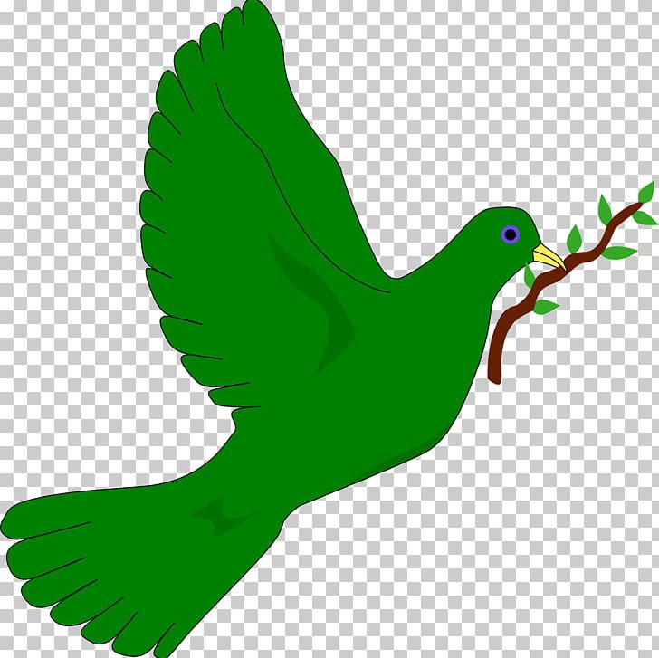Bird Doves As Symbols Common Emerald Dove PNG, Clipart, Animals, Barbary Dove, Beak, Bird, Christmas Free PNG Download