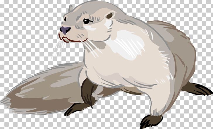 Sea Otter North American River Otter Drawing Cartoon PNG, Clipart, Art, Bear, Carnivoran, Cartoon, Cat Free PNG Download