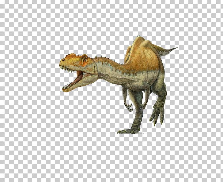 Spinosaurus Yangchuanosaurus Tyrannosaurus Metriacanthosaurus Oxfordian PNG, Clipart, 3d Dinosaurs, Allosaurus, Carnivore, Cartoon Dinosaur, Cretaceous Free PNG Download