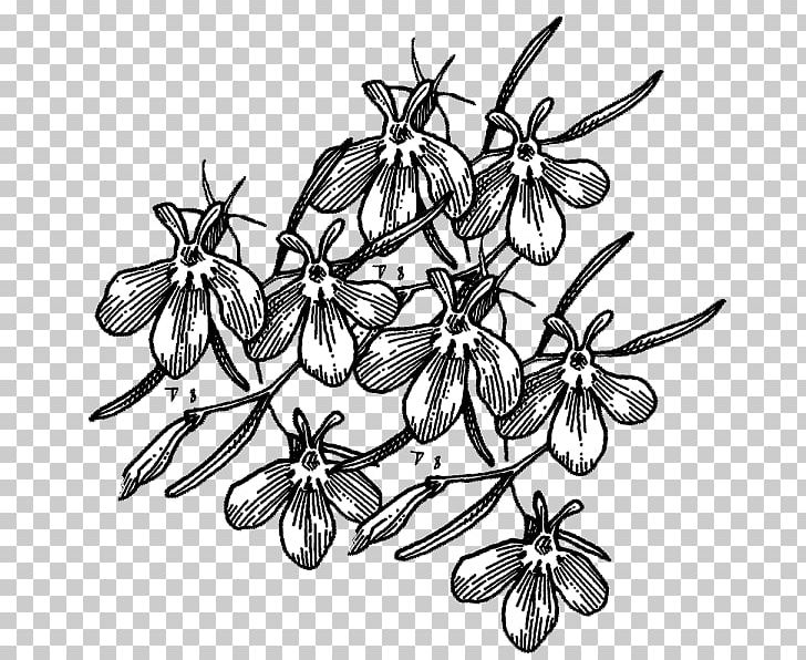 Twig Drawing /m/02csf Leaf PNG, Clipart, Artwork, Black And White, Branch, Butterflies And Moths, Drawing Free PNG Download