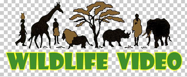 Wildlife Conservation Inertia Rocket Motion PNG, Clipart, Camel Like Mammal, Conservation, Escape Velocity, Fauna, Grass Free PNG Download