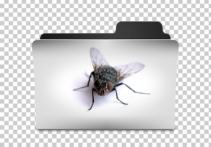 Bee Desktop Computer Icons Desktop Metaphor PNG, Clipart, Arthropod, Avatar, Bee, Butterflies And Moths, Computer Icons Free PNG Download