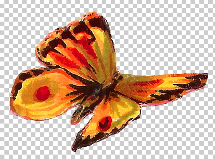 Butterfly PNG, Clipart, Animals, Art, Arthropod, Brush Footed Butterfly, Butterflies And Moths Free PNG Download